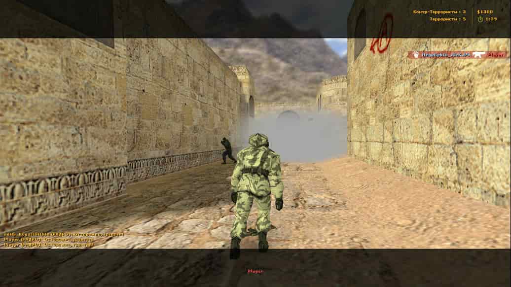 Скачать CS 1.6 без анимации