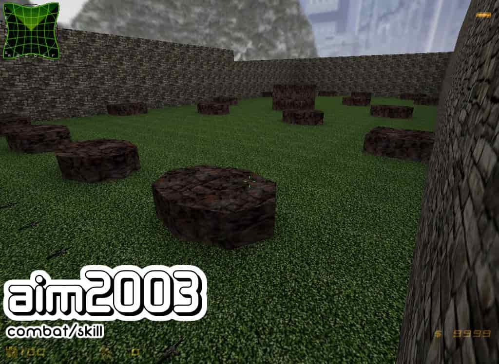 aim2003