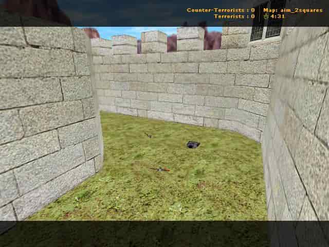 aim_2squares
