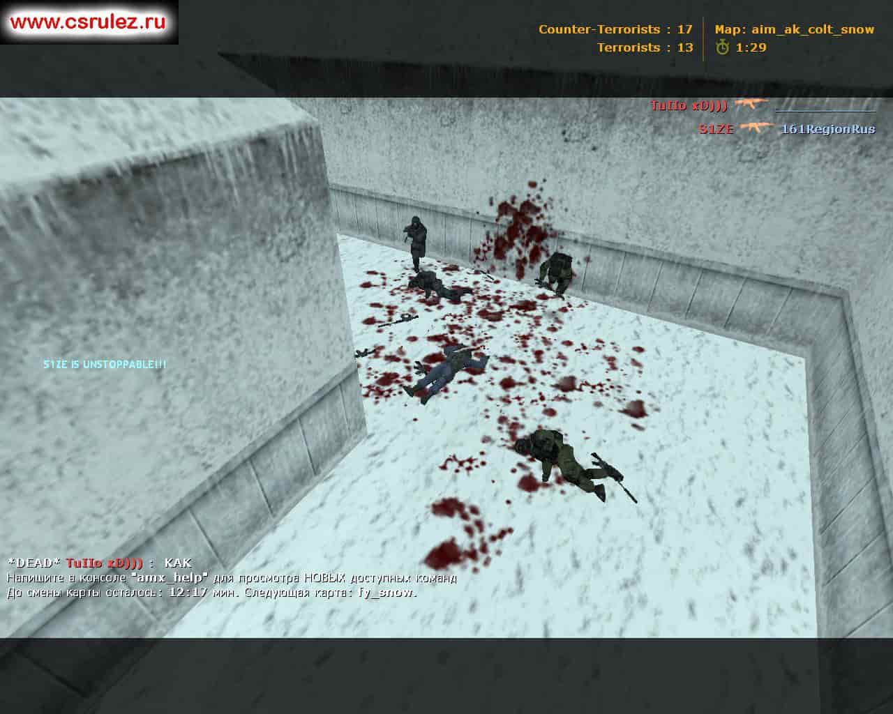 aim_ak_colt_snow