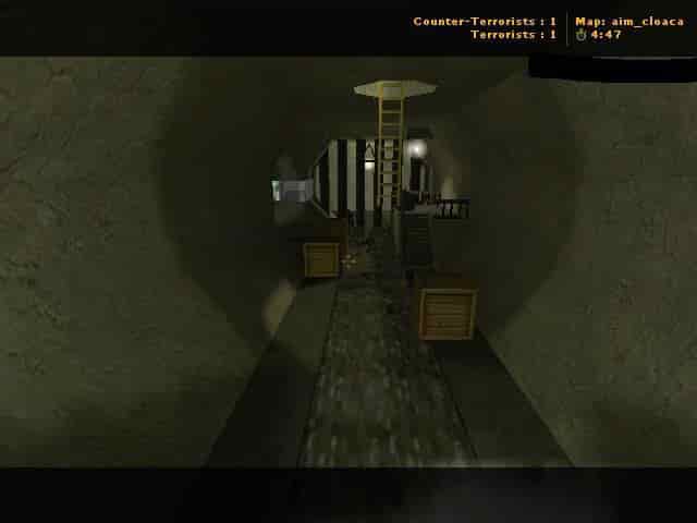 aim_cloaca