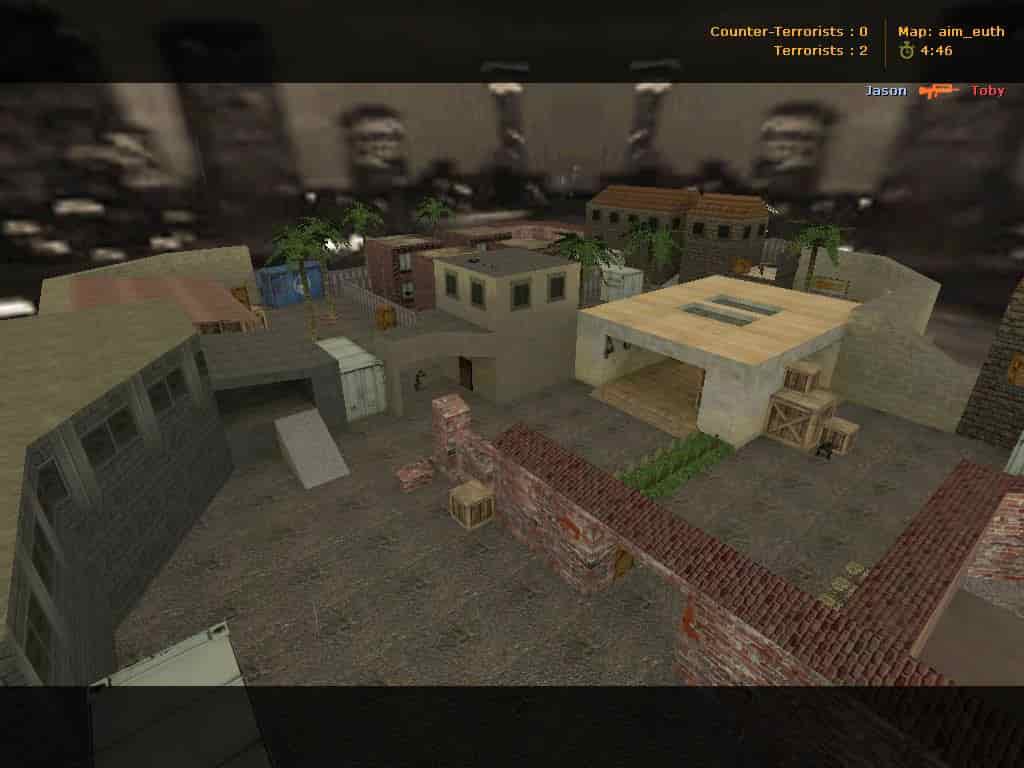 aim_euth
