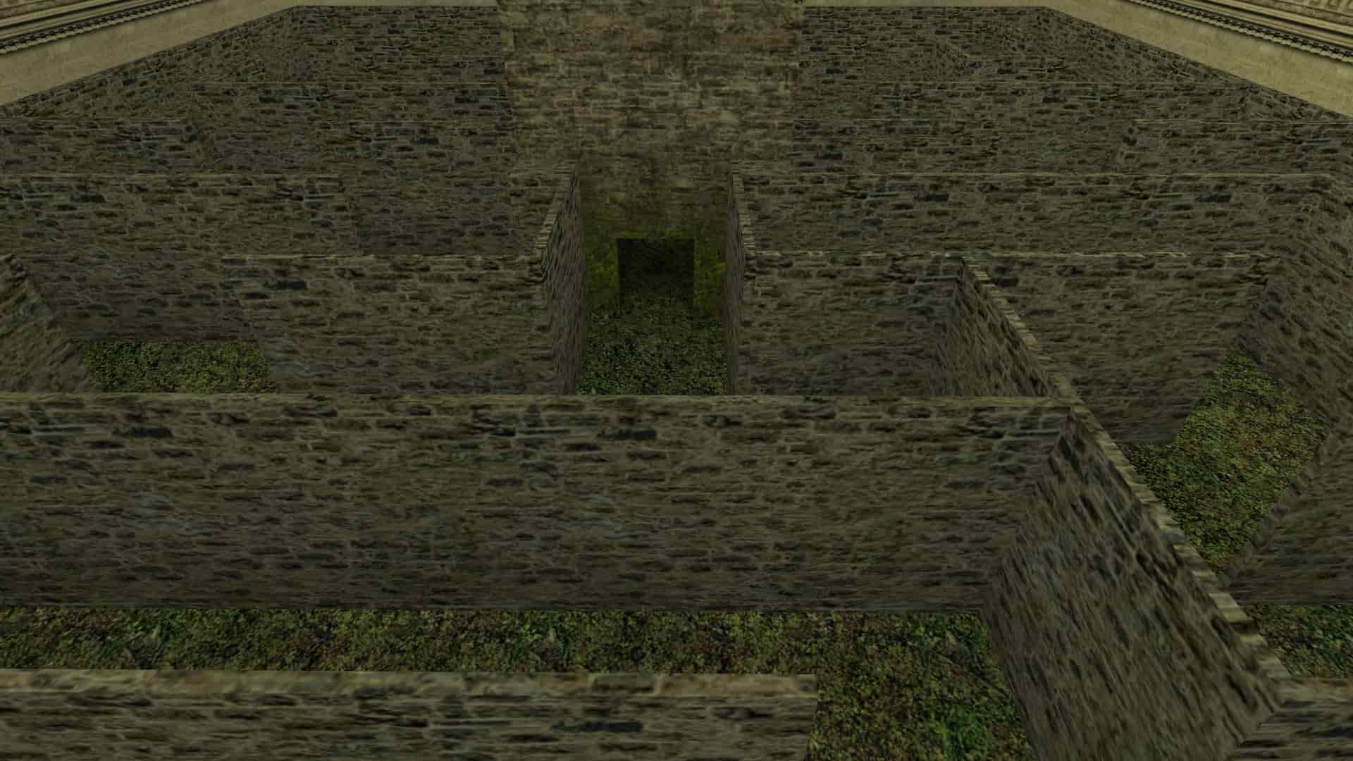 aim_faced-by