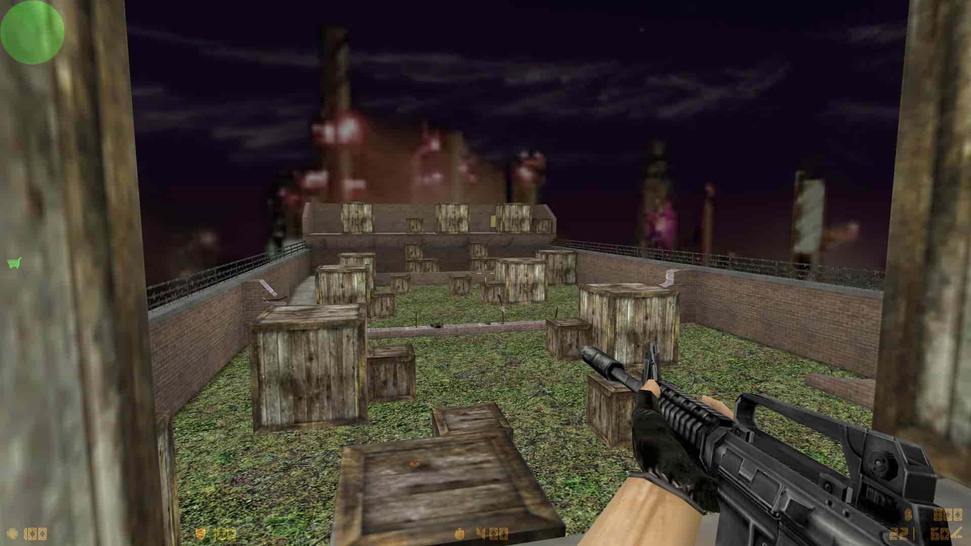 aim_lionn