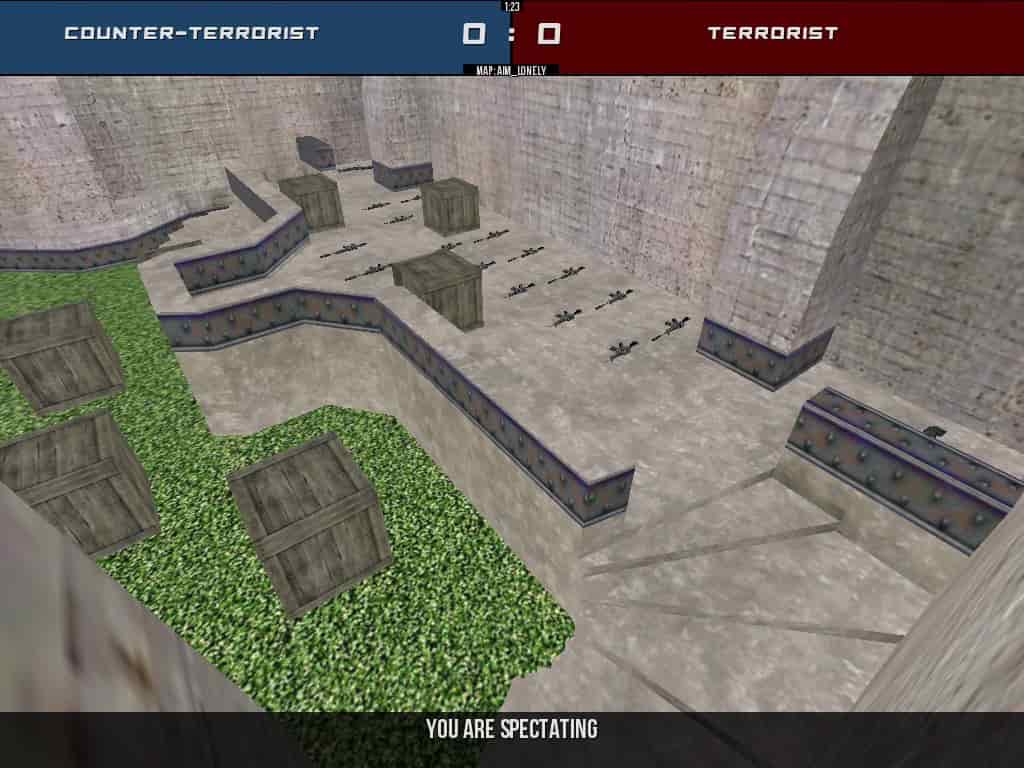 aim_lonely