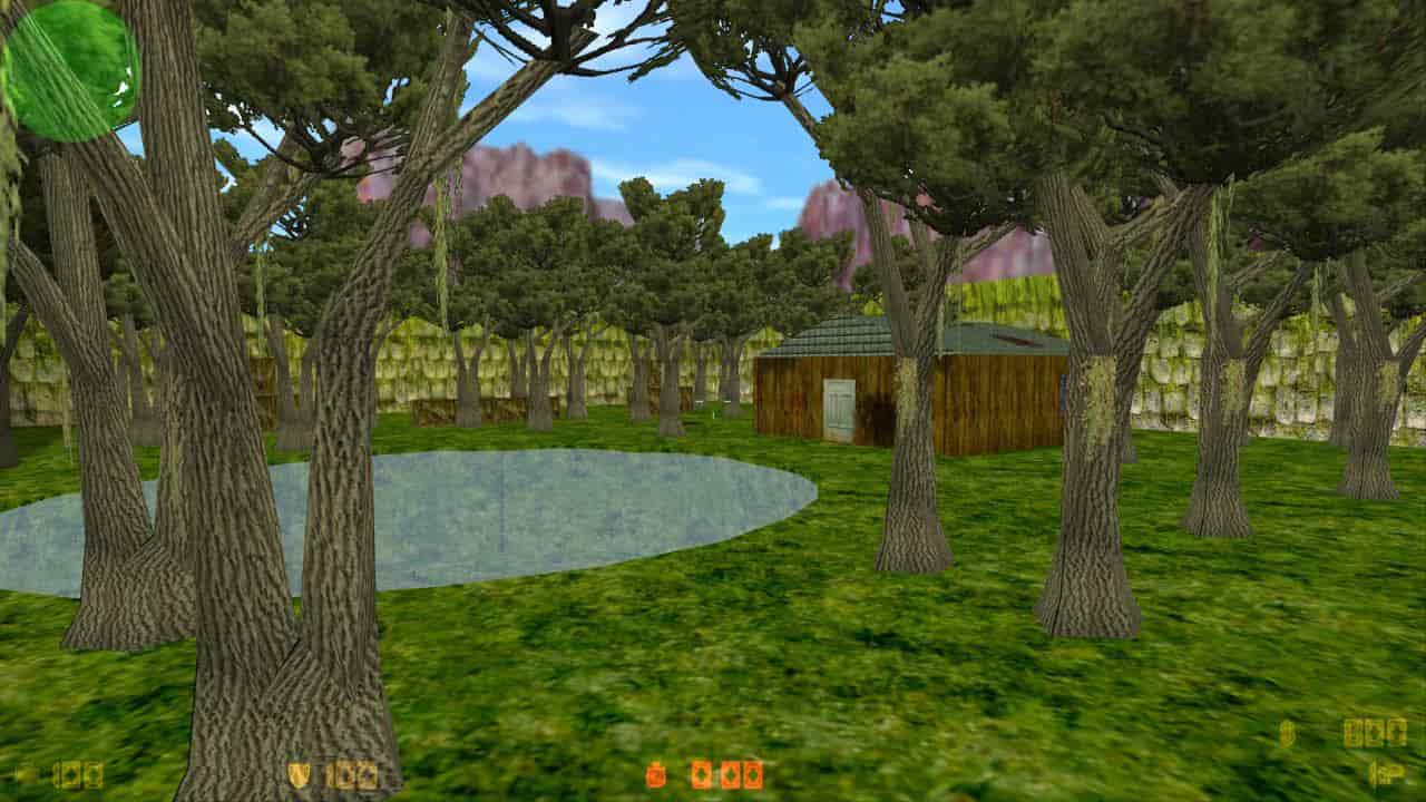 aim_satteam_forest