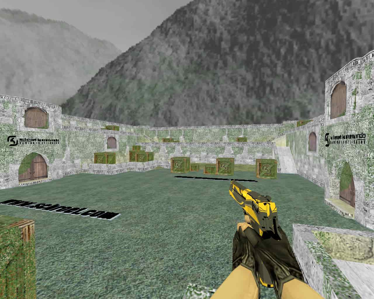 aim_sk_usp_deagle