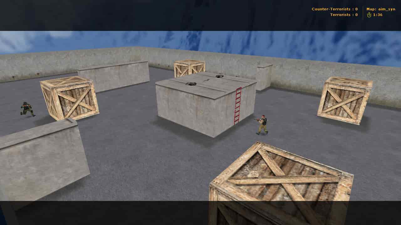 aim_syn