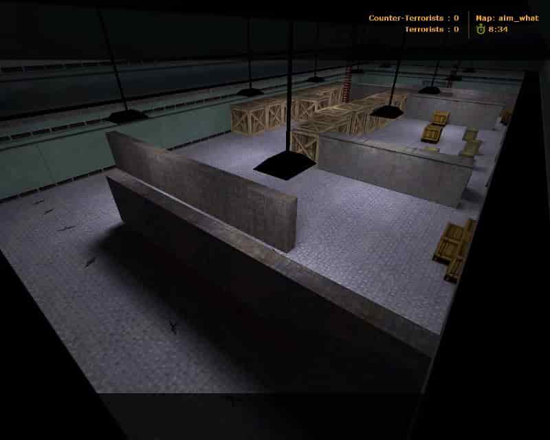 aim_what