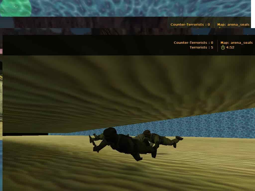 arena_seals