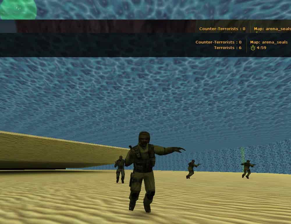 arena_seals