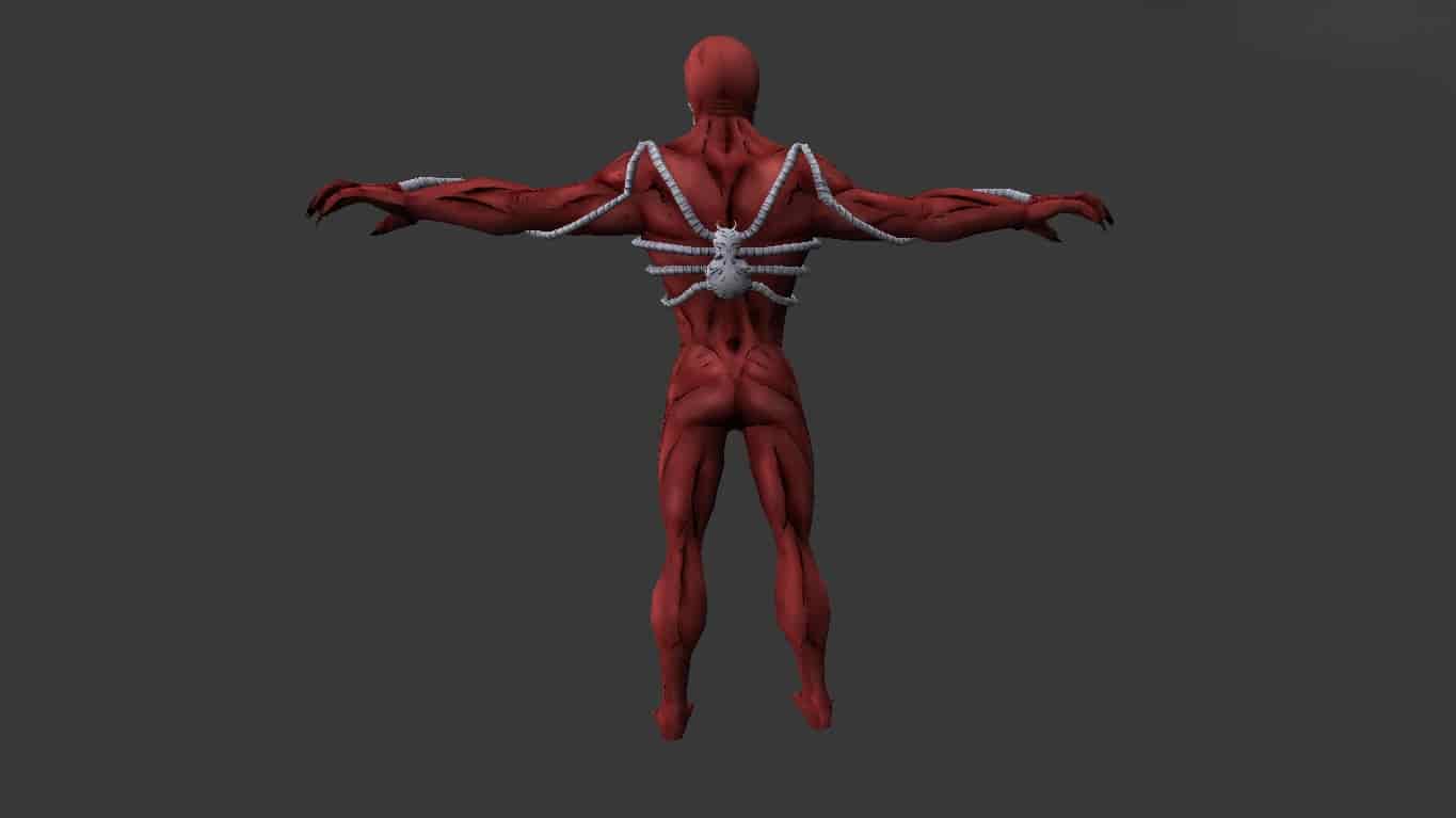 Antispidermen КТ-ТТ
