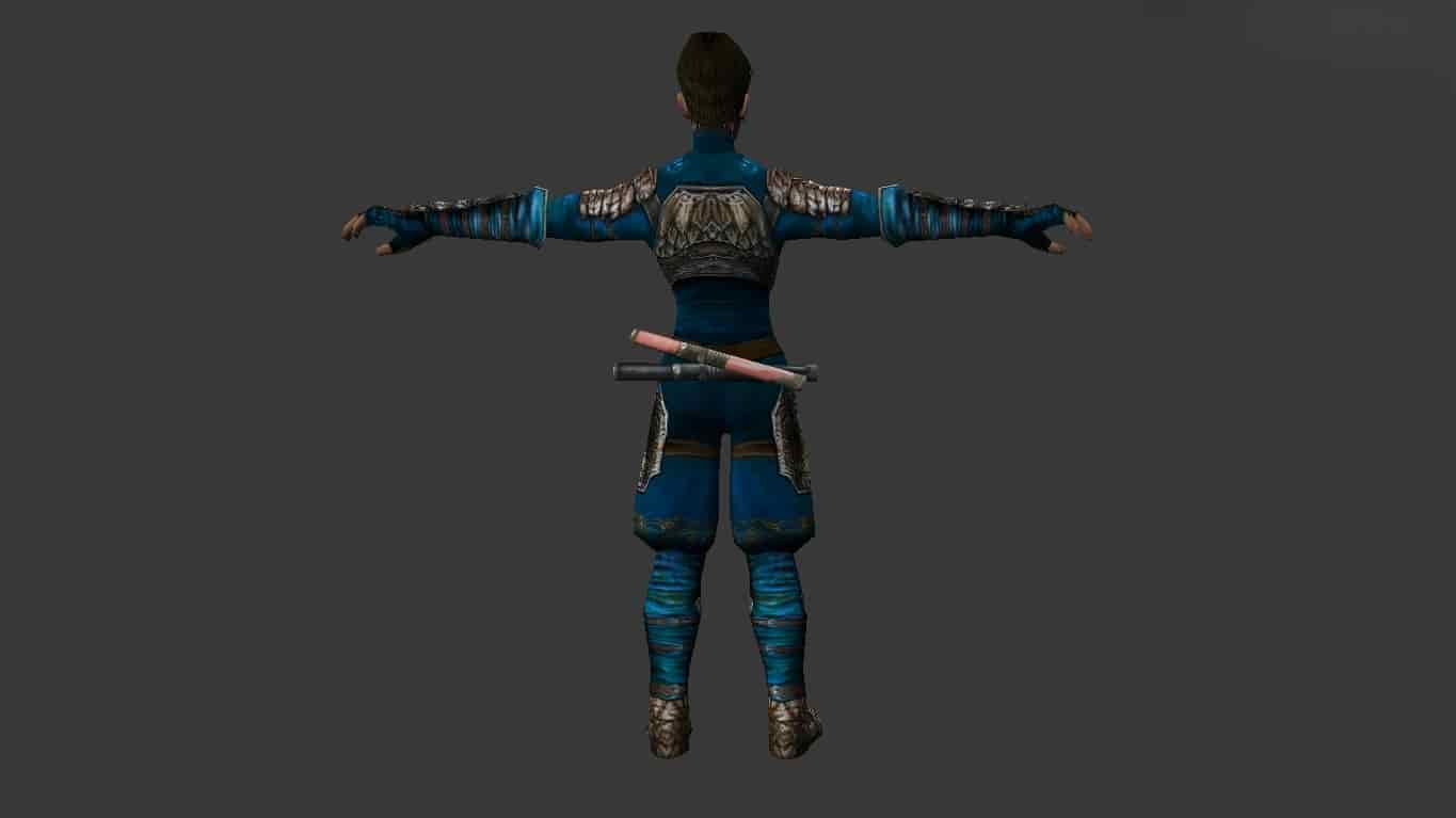Assassin Metin 2