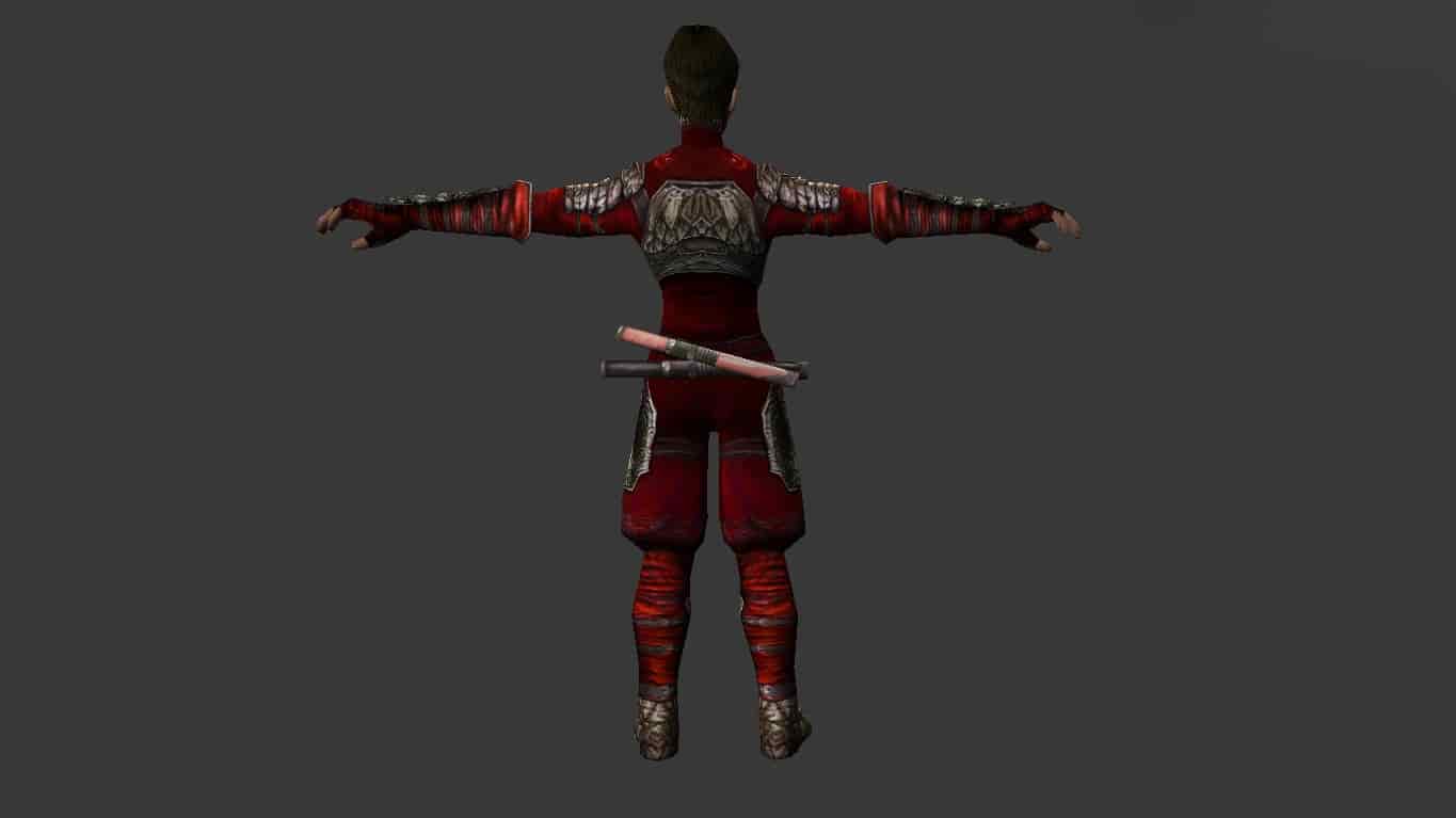 Assassin Metin 2