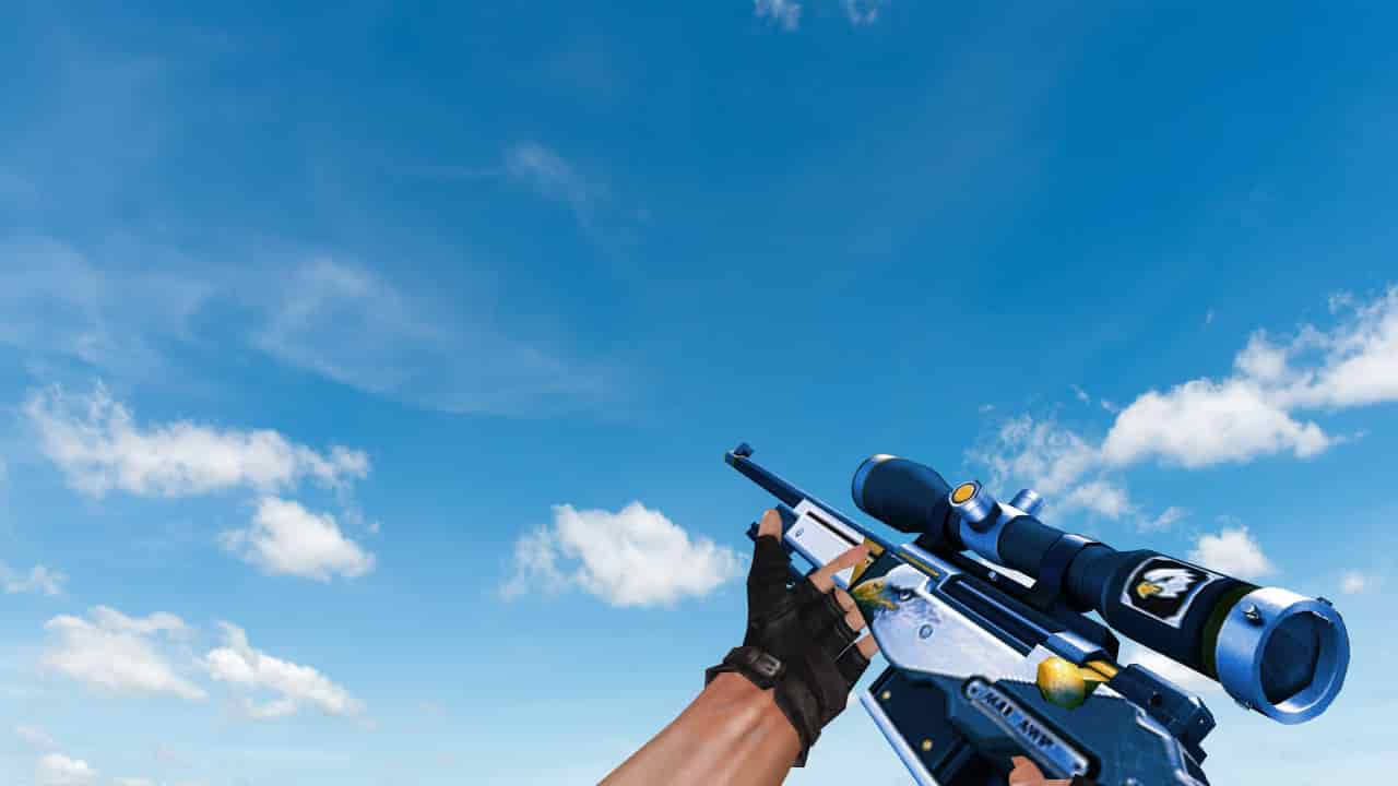 AWP Bercut
