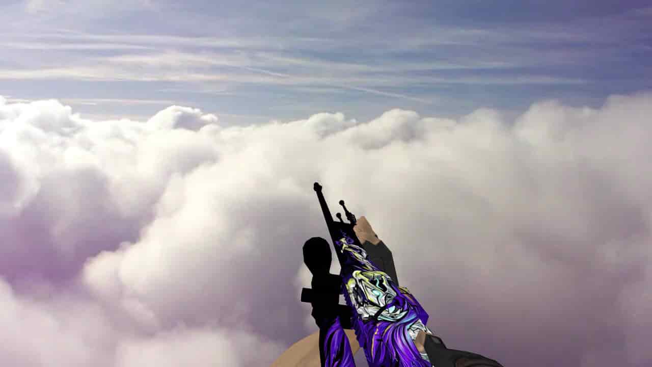 AWP Vulture