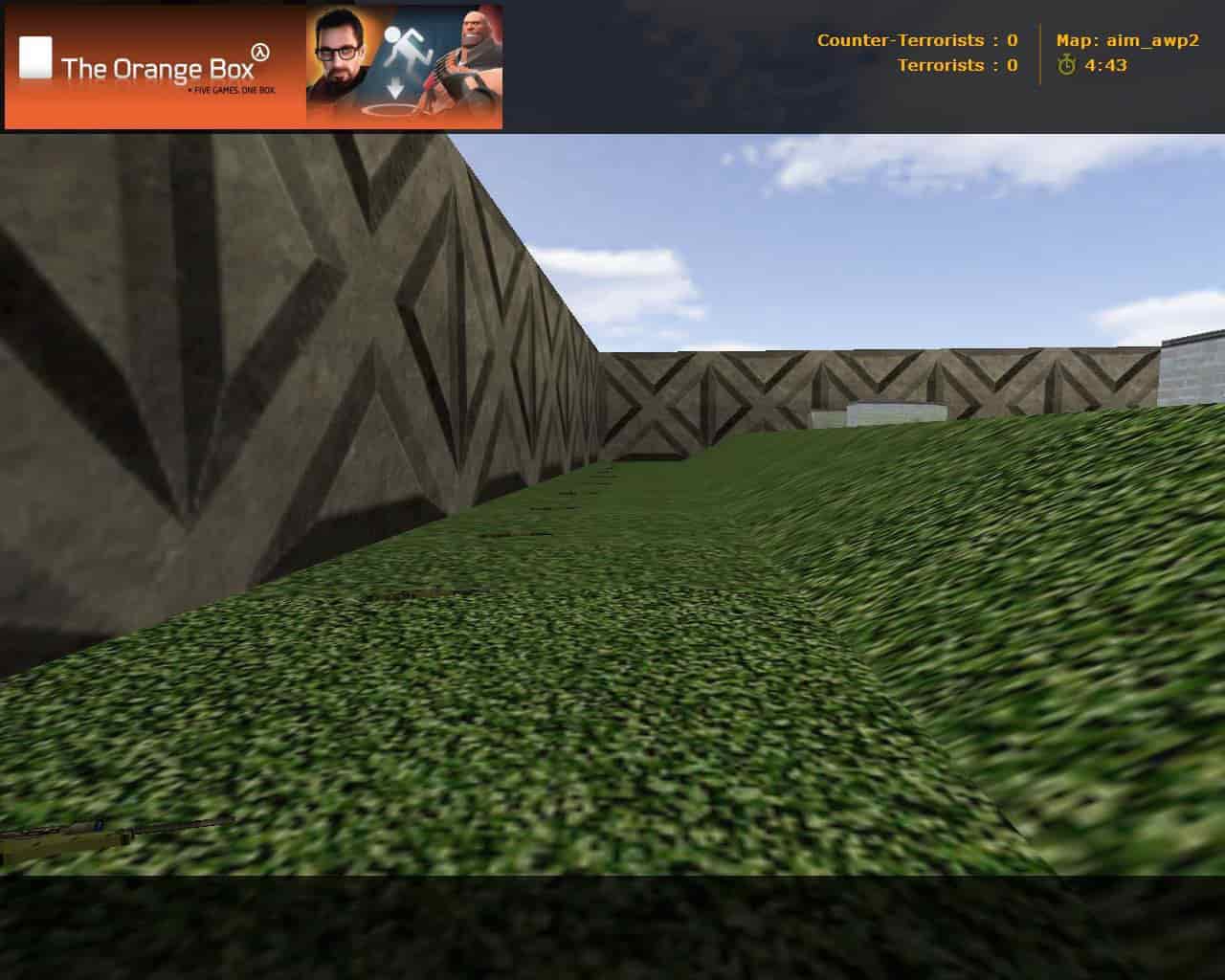 aim_awp2