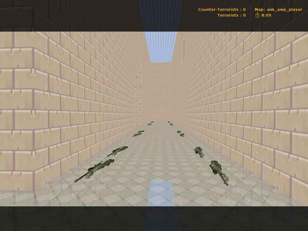 aim_awp_player