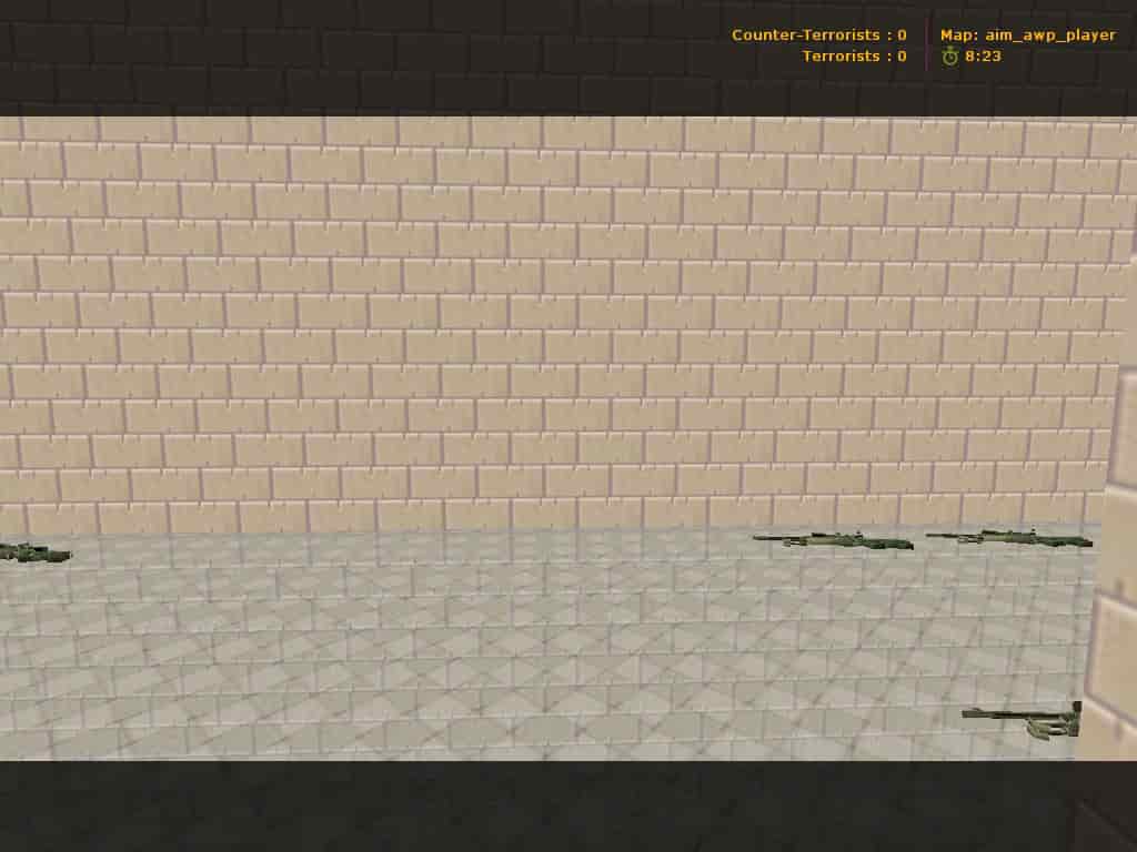 aim_awp_player