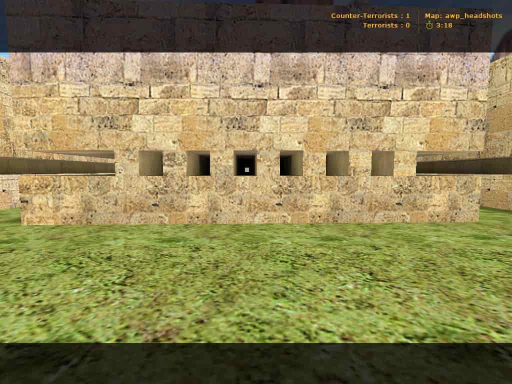 awp_headshots