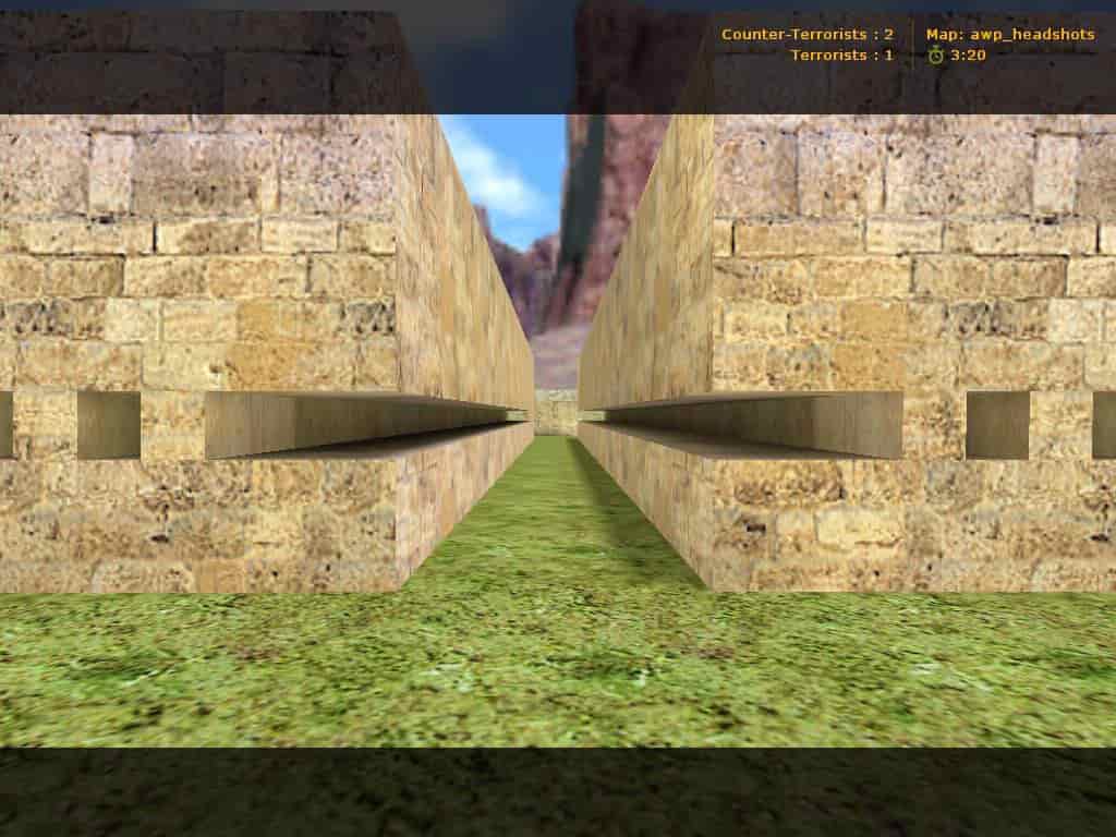 awp_headshots