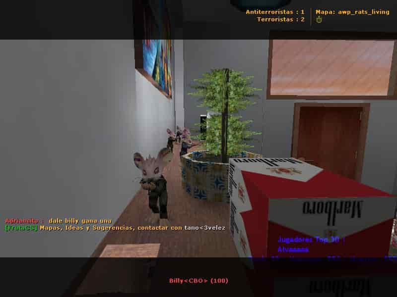 awp_rats_living