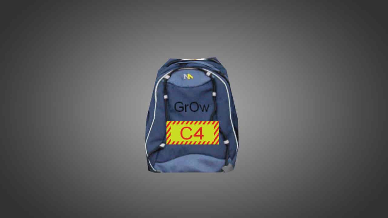 School Backpack