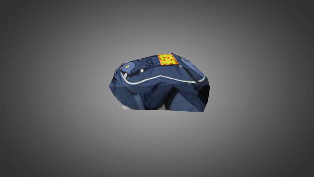 School Backpack