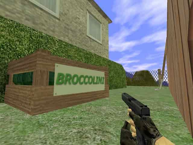 cs_brokkoli