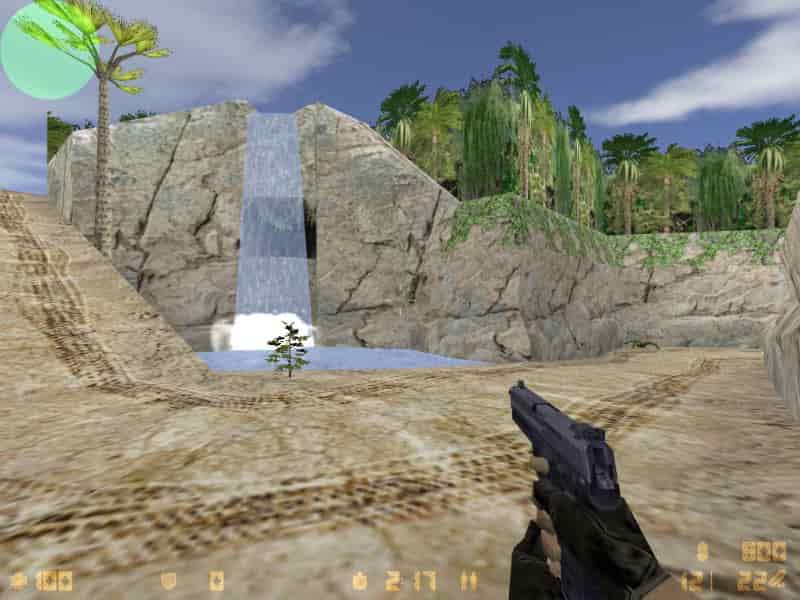 cs_palm