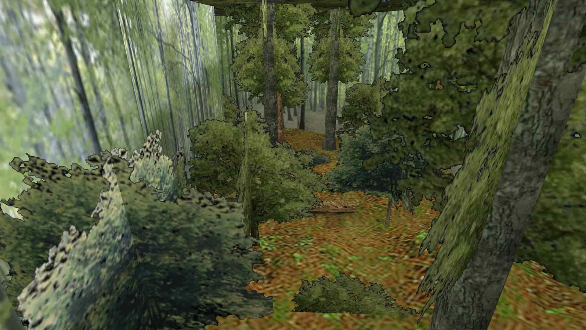 cs_redwood