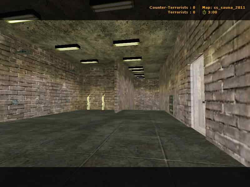 cs_sauna_2011