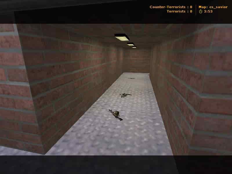 cs_savior
