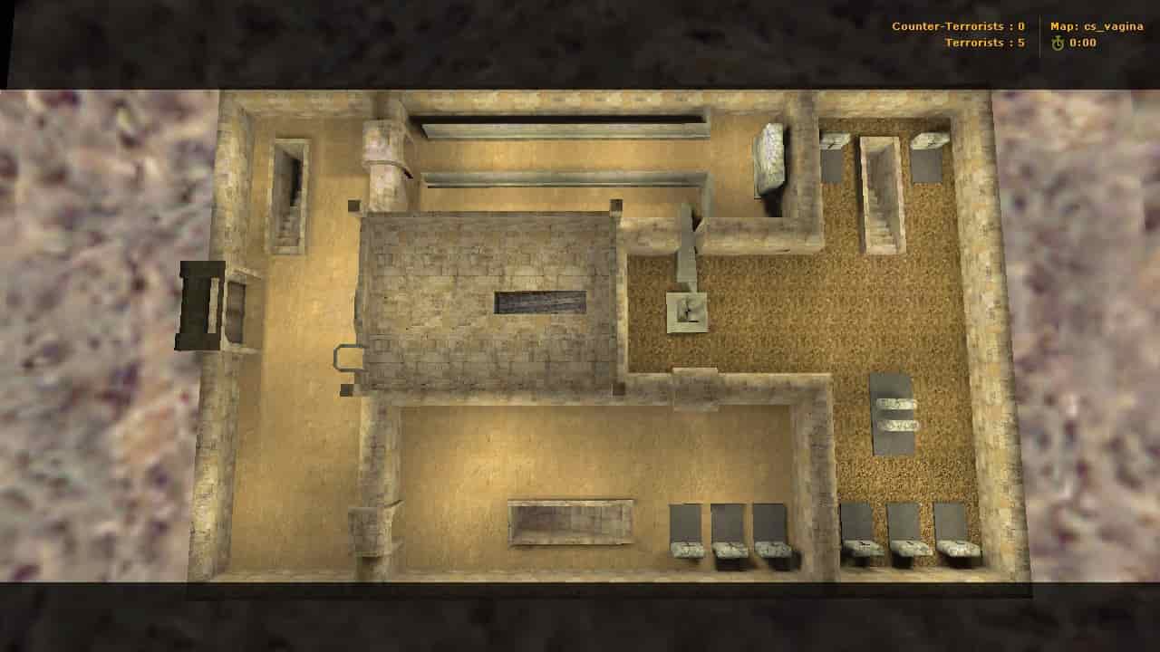 cs_vagina