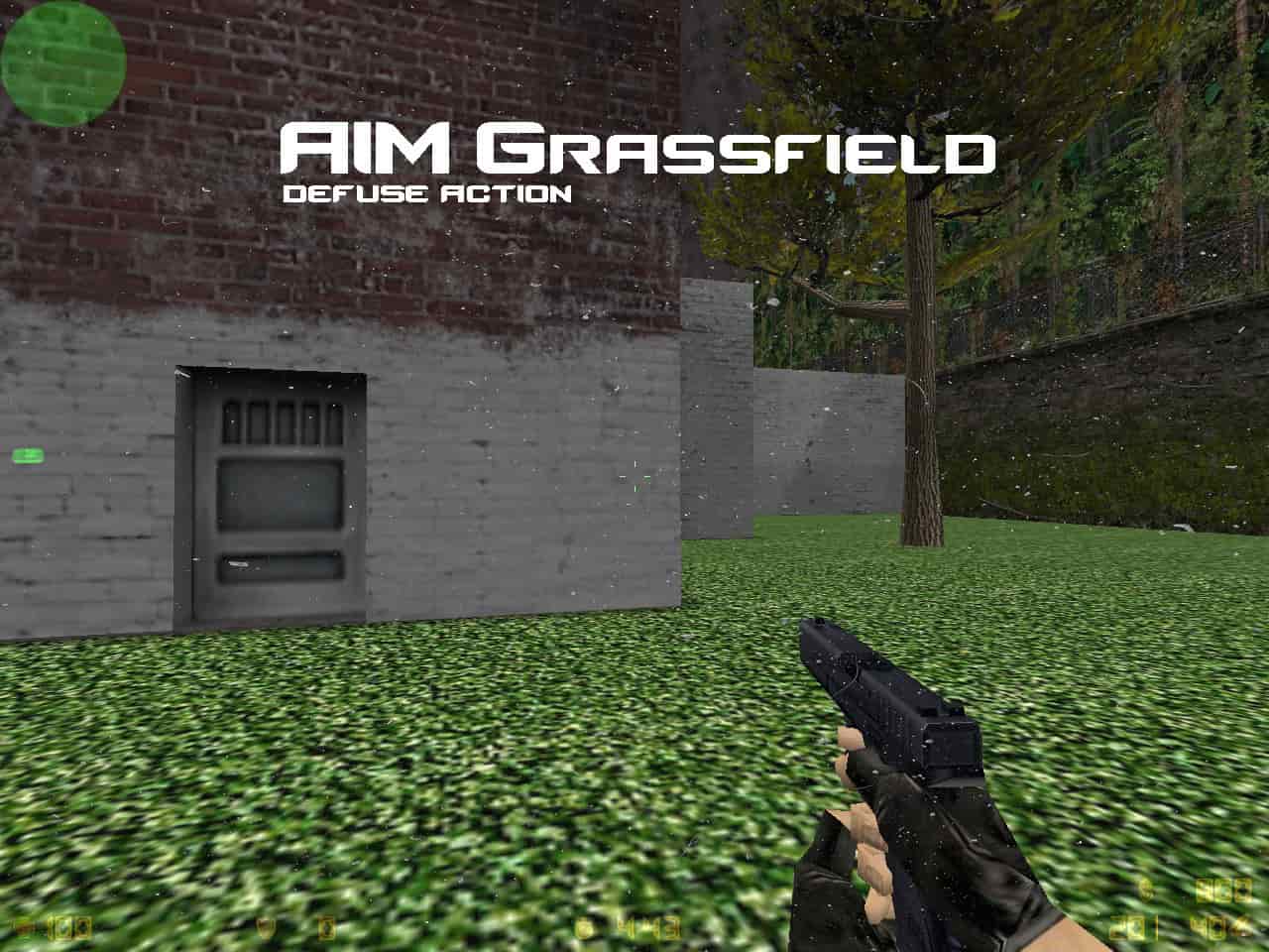 aim_grassfield