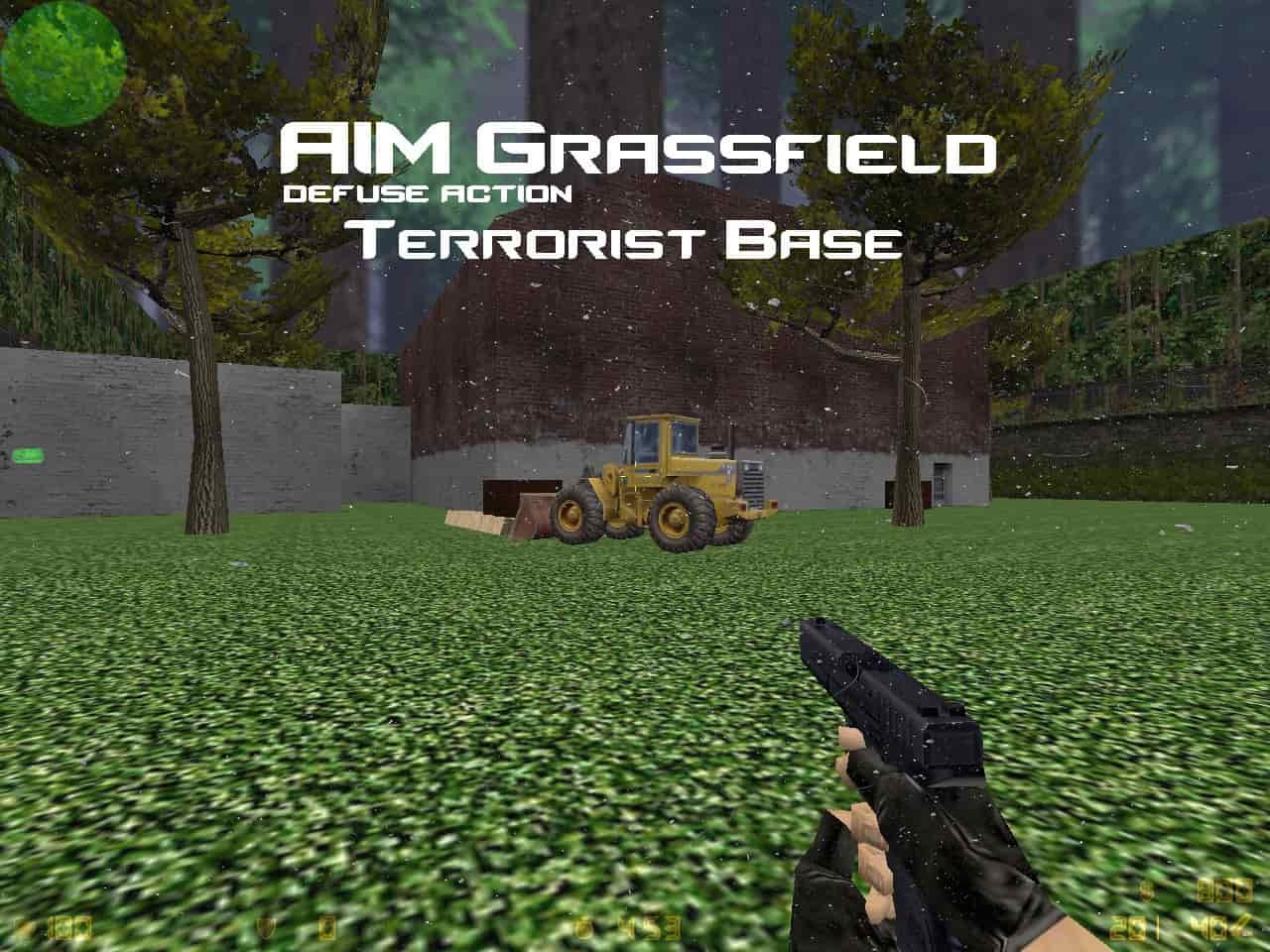 aim_grassfield