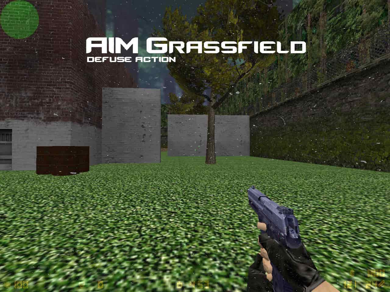 aim_grassfield