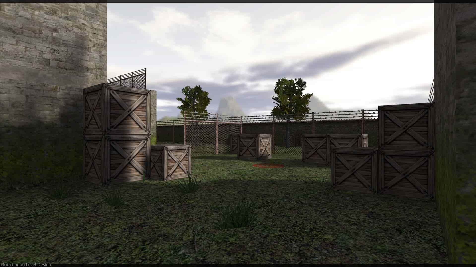 de_form_z