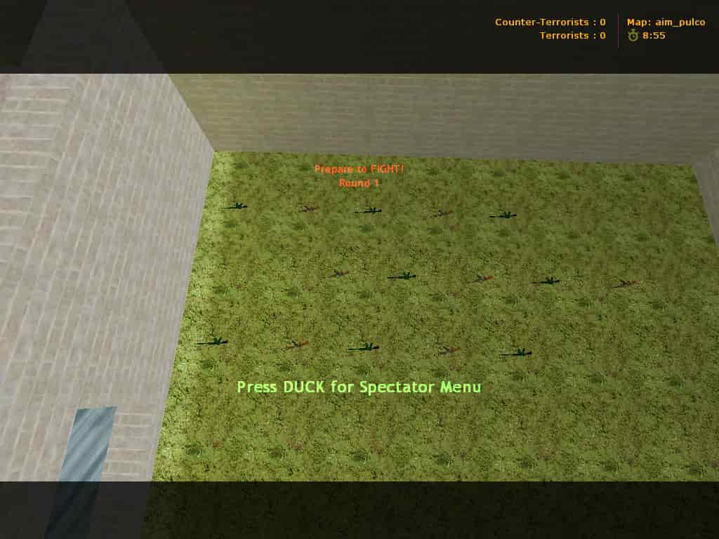 aim_pulco