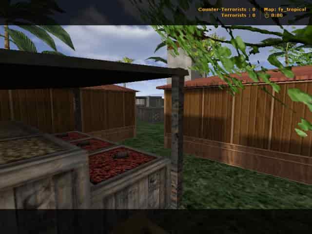 fy_tropical