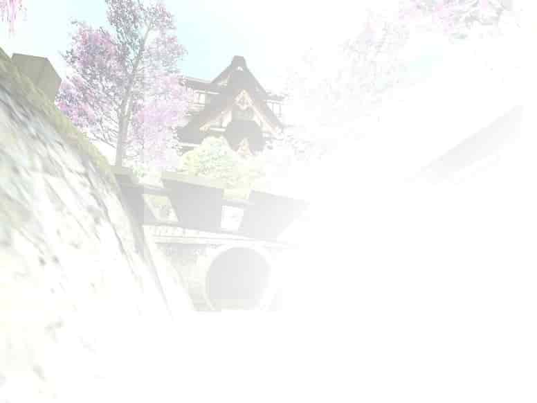 sakura