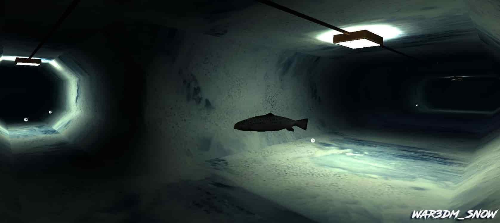 war3dm_snow
