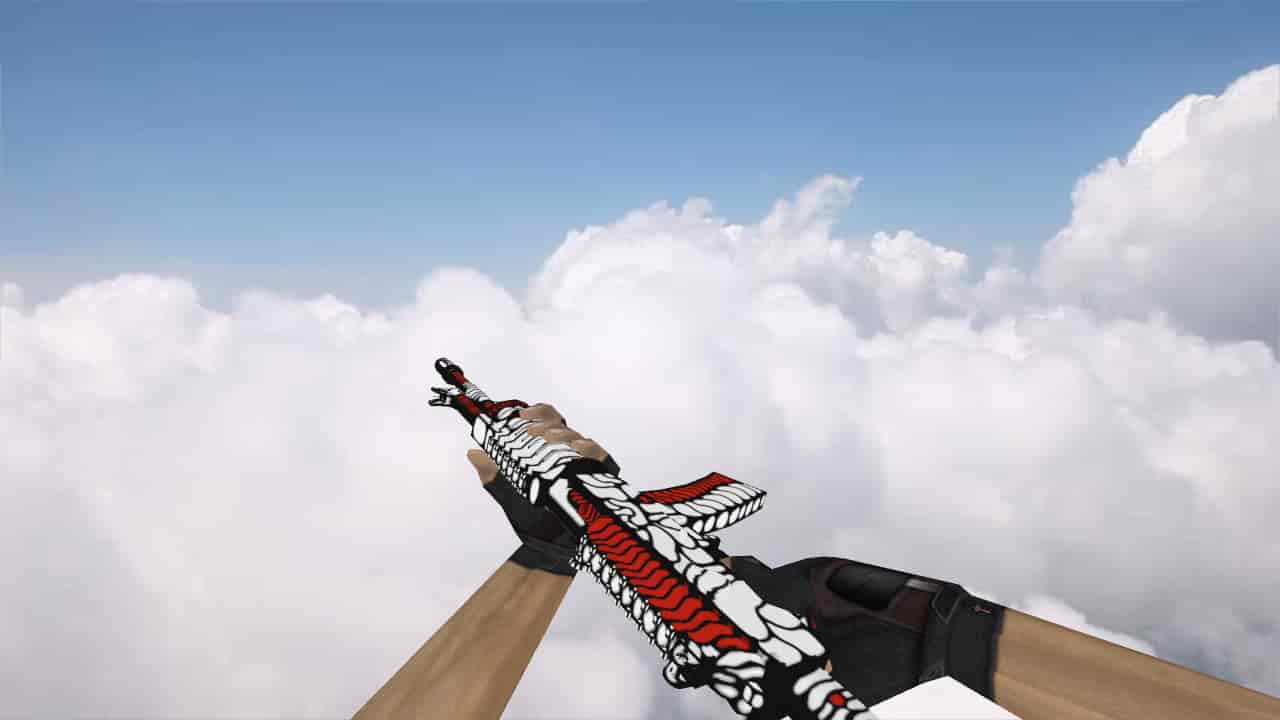 Galil Biomech
