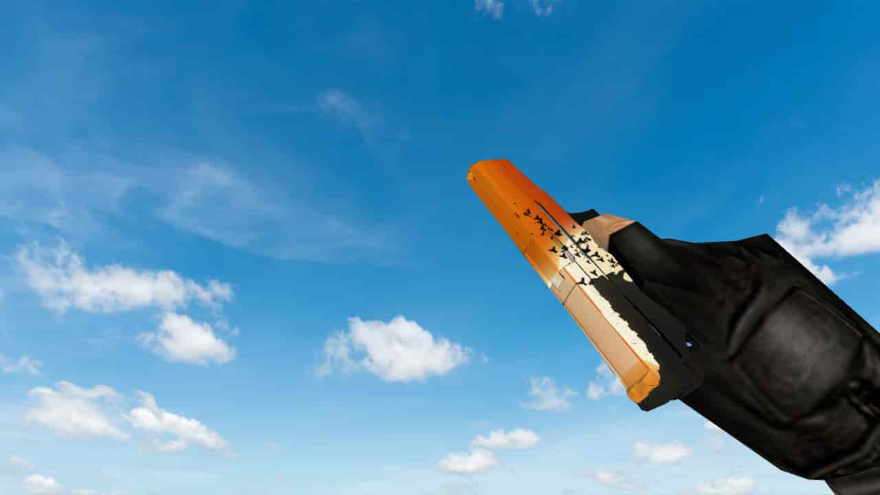 Glock Savanna