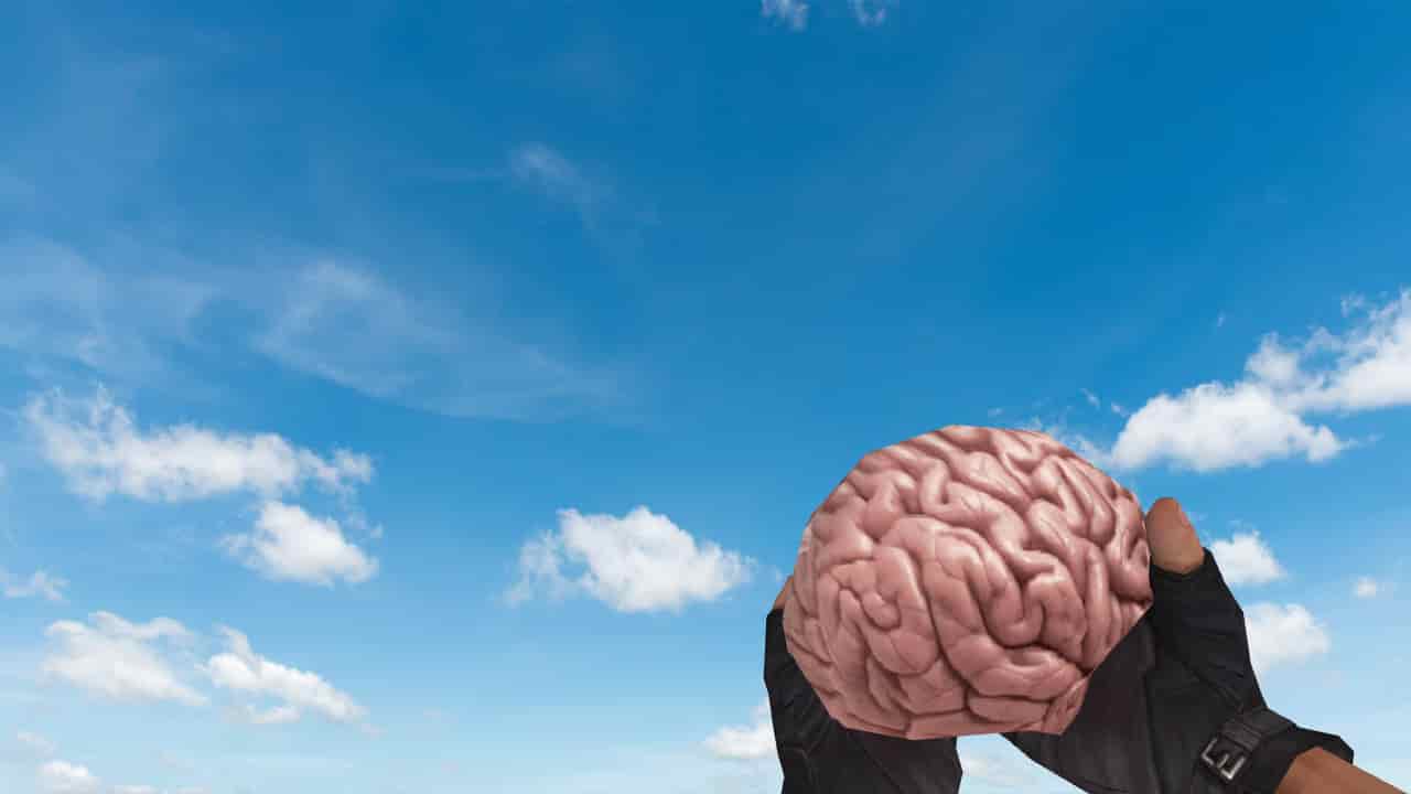 Brain Grenade