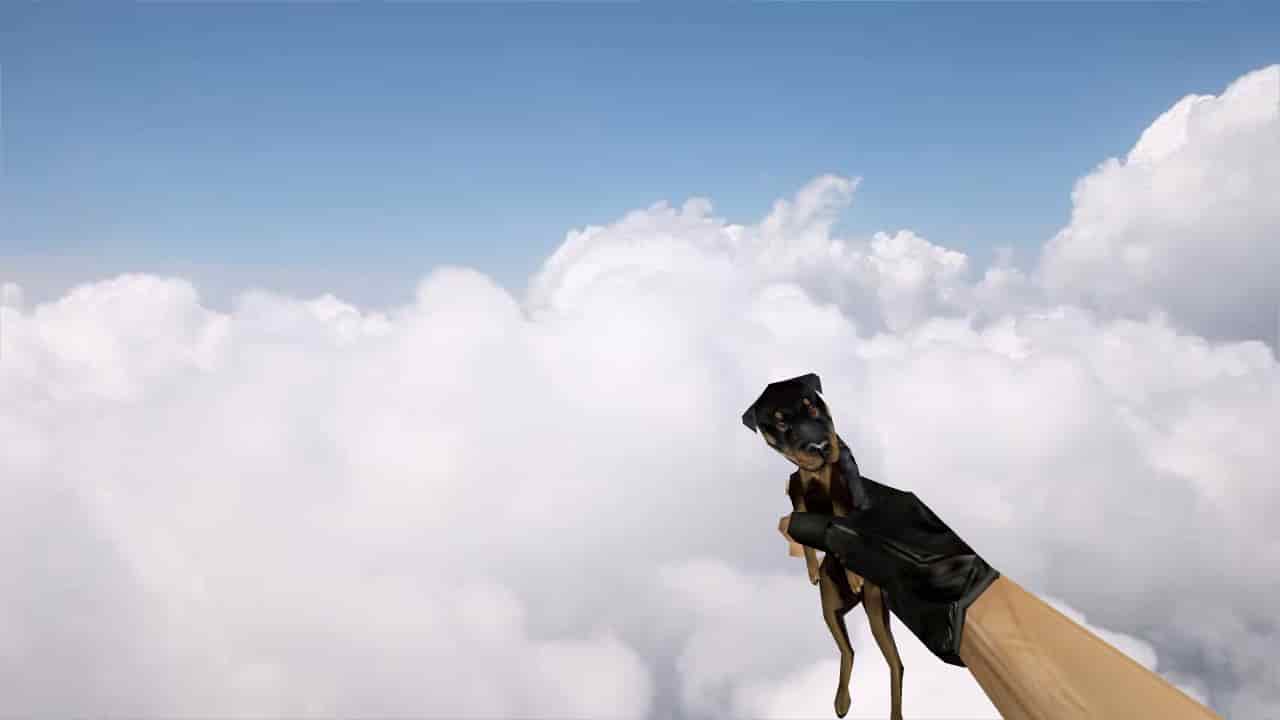 Dog Grenade