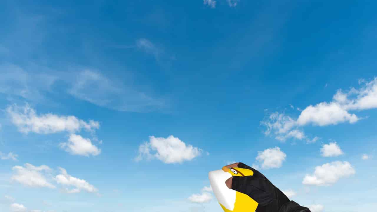 Пак гранат «Angry Birds»