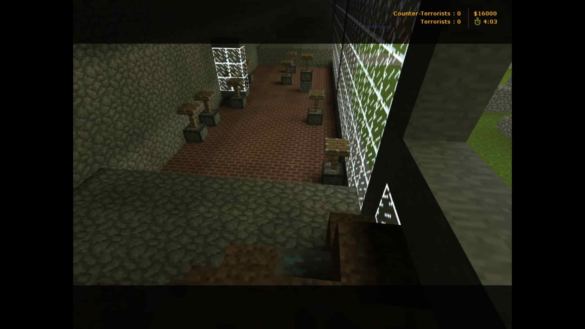 c21_minecraft
