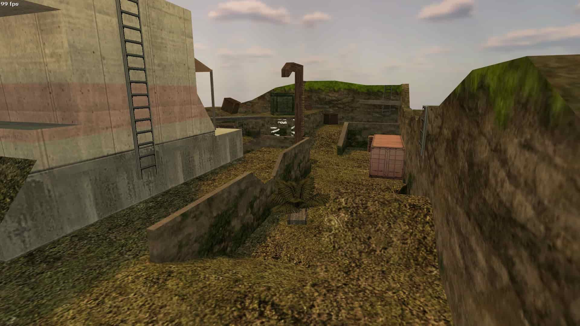 rayish_backyard