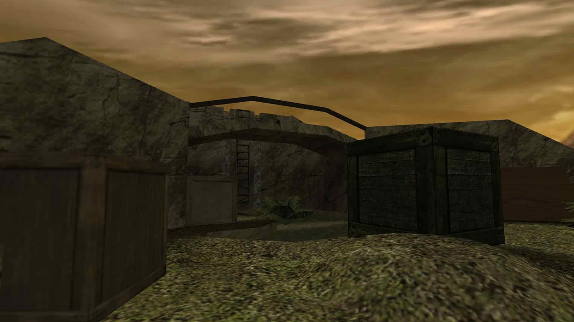 rayish_survival